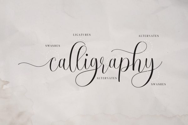 Ruth Clair Lovely Script Calligraphy — Typetemp